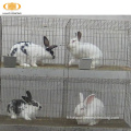 Cages de reproduction de lapin en métal soudé à 3 couches